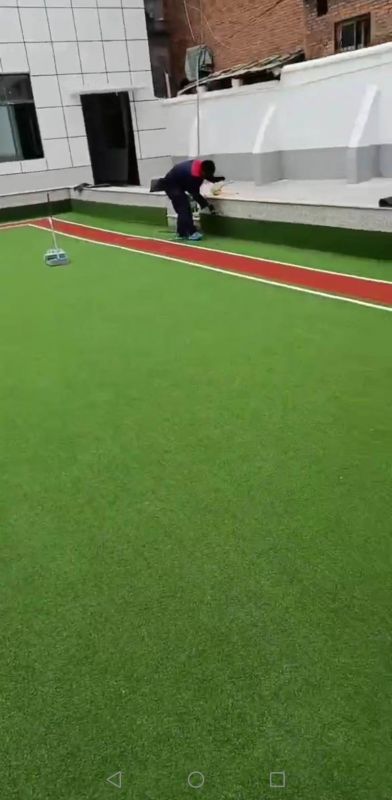 中共内乡县疾病预防控制中心支部委员会PE门球场