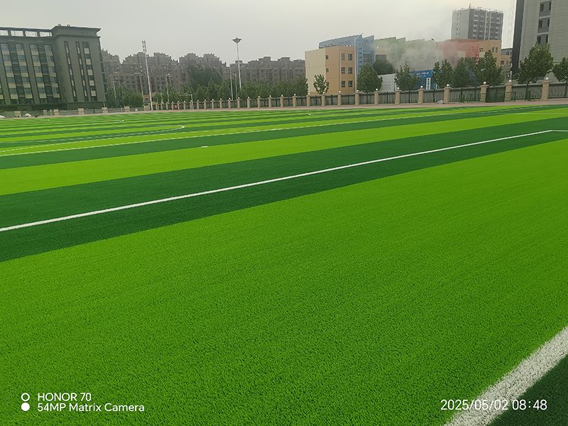 图片1(3)